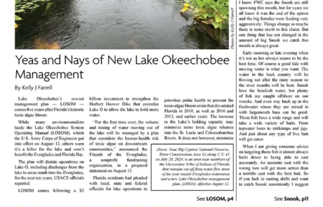 Mullet Rapper News Paper for Everglades City and Surrounding 10000 Islands Portfolio