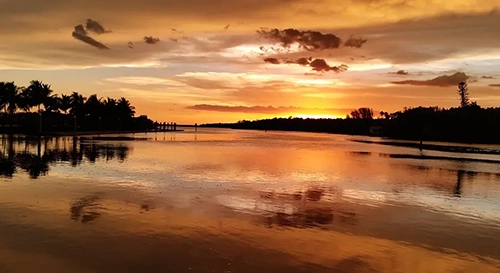 Visit Everglades City Paradise Web Client