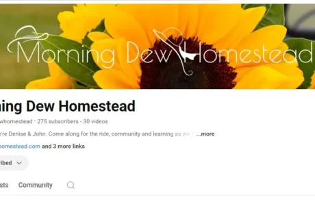 Morning Dew Homestead Youtube header
