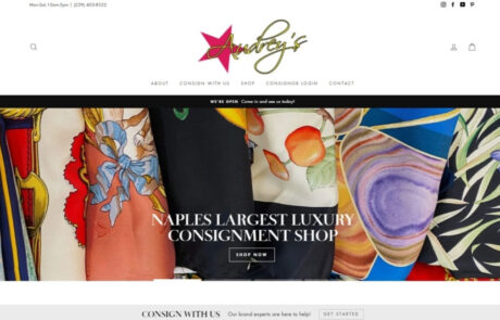 Website Design Developments Audreys of Naples Paradise Web Services