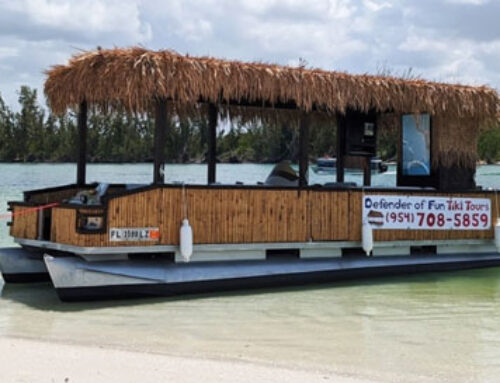 Defender of Fun Tiki Tours