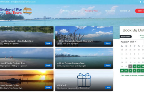 System Integration Defender of Fun Tiki Tours Paradise Web Marketing Services
